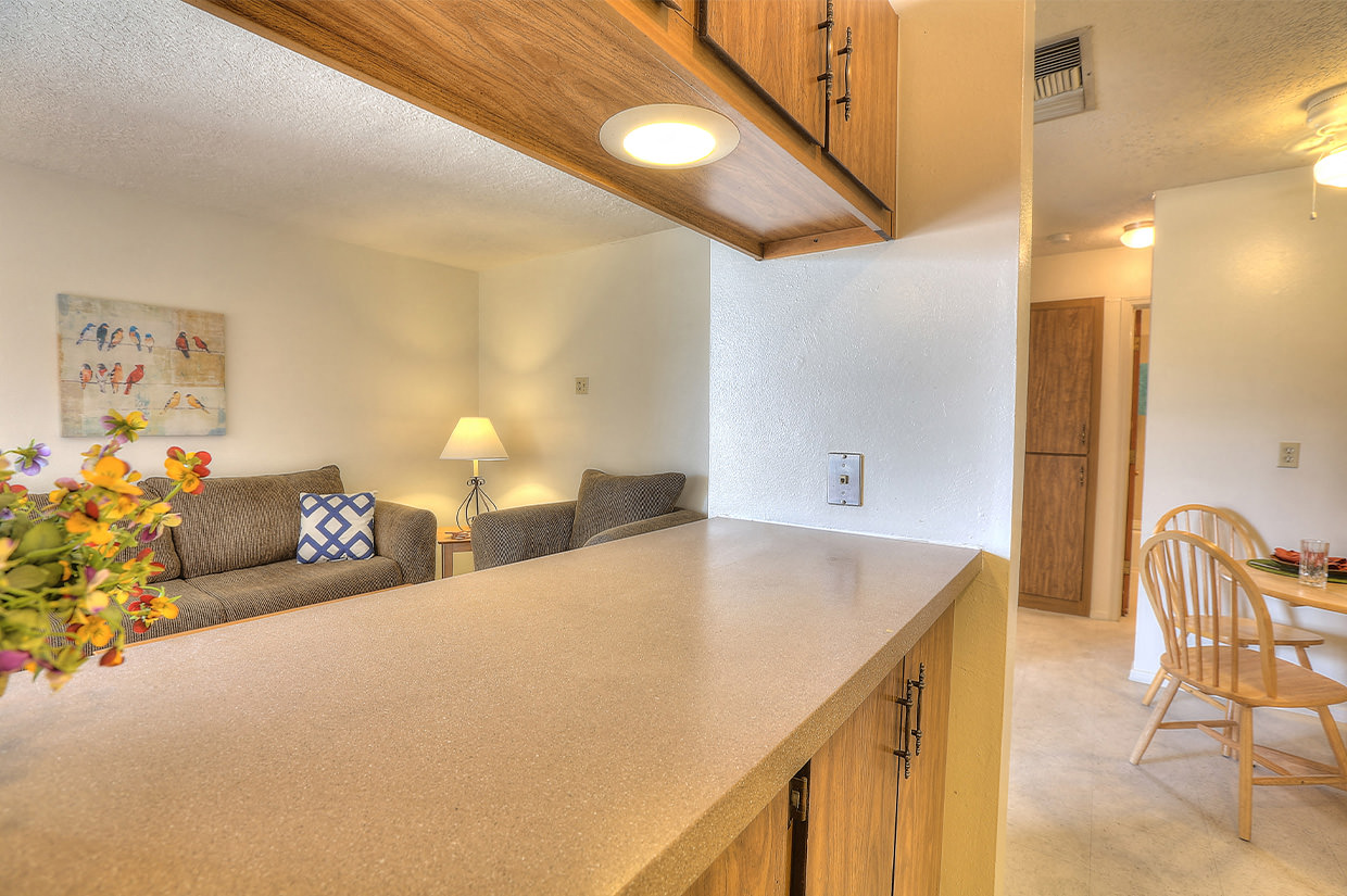 a living room and kitchen with a couch and a table